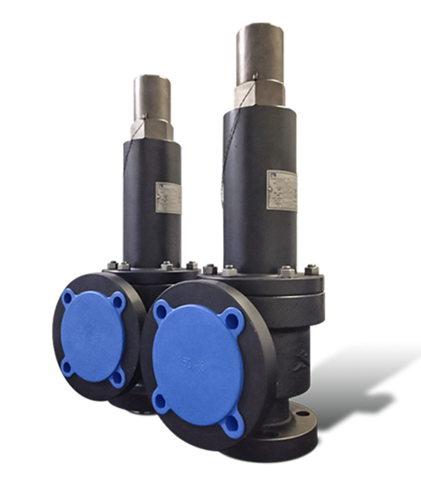 franik valvulas 01 - 5