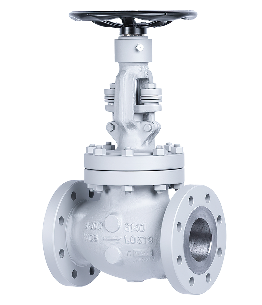 franik valvulas 01 - 6