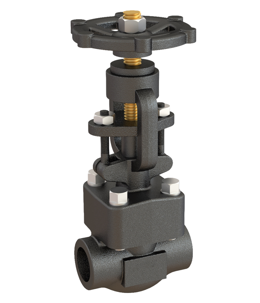 franik valvulas 01 - 7